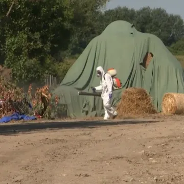 Gubimo li zbog manjka inspektora bitku sa svinjskom kugom? RTL Danas doznaje koliko ih nedostaje