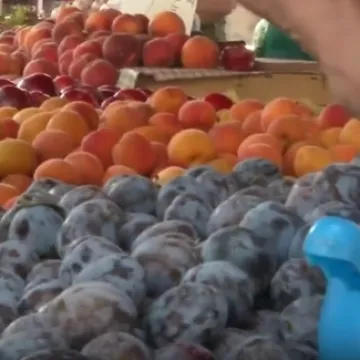 Omiljeno voće stiglo na tržnice, ovo su cijene: 'Da to preračunamo u nekada&scaron;nje kune...'