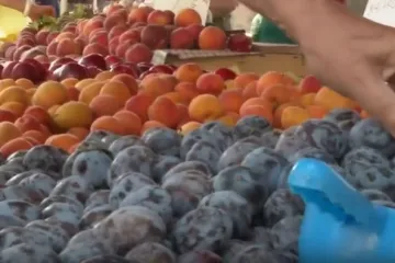 Omiljeno voće stiglo na tržnice, ovo su cijene: 'Da to preračunamo u nekada&scaron;nje kune...'