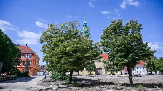 Karlovac bez drvoreda: Građani optužuju gradonačelnika za 'politički inat'