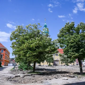 Karlovac bez drvoreda: Građani optužuju gradonačelnika za 'politički inat'