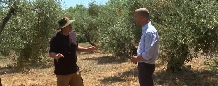 Bili smo na 'Smaragdnom otoku': Ovdje su hrana, vino i maslinovo ulje bez pesticida i kemikalija