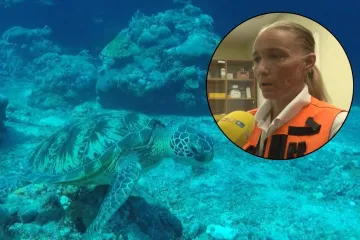 Kornjača unijela nemir među kupače, liječnica: 'Ima jake čeljusti, može vam napraviti prijelom'