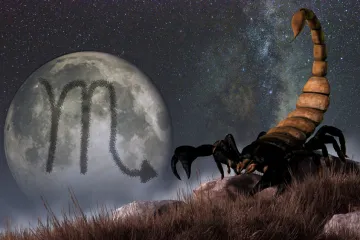 Dnevni horoskop, &Scaron;korpion, 24. 07. 2026.