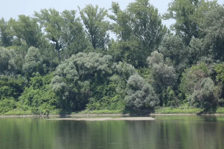 Iznimno zabrinjavajuće: Drava kod Osijeka ispisala povijest, ovako nikad nije bilo!