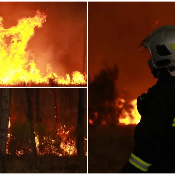 Požari bijesne, vatra opasno prijeti Bordeauxu: 'Ovo je borba Davida protiv Golijata'