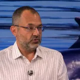 Za&scaron;to niste poslu&scaron;ali upozorenja stručnjaka? 'Dupin je divlja životinja, može zavr&scaron;iti opasno'