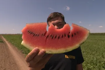 Okrugla kao lopta i bez pruga: Ku&scaron;ali smo vukovarsku lubenicu, jedinu hrvatsku sortu!