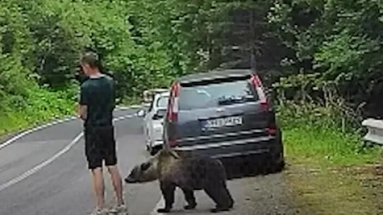 Nevjerojatna snimka bliskog susreta: Ovo je reakcija mu&scaron;karca nakon &scaron;to mu je pri&scaron;ao medvjed