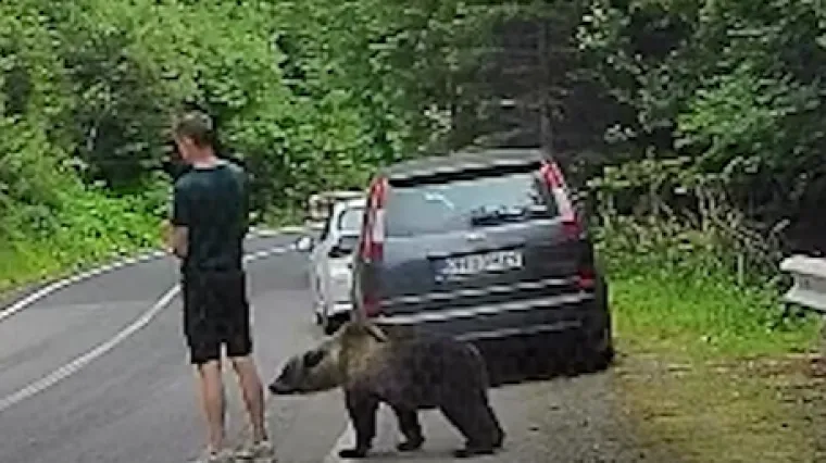 Nevjerojatna snimka bliskog susreta: Ovo je reakcija mu&scaron;karca nakon &scaron;to mu je pri&scaron;ao medvjed