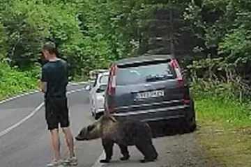 Nevjerojatna snimka bliskog susreta: Ovo je reakcija mu&scaron;karca nakon &scaron;to mu je pri&scaron;ao medvjed