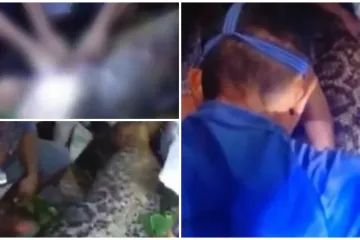 Mje&scaron;tani rasporili pitona neobičnog oblika i prona&scaron;li nestalog farmera (40)