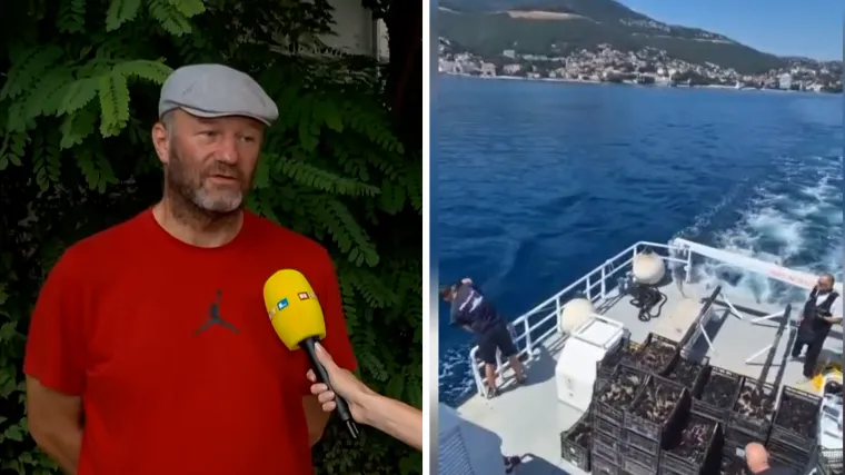 Policija spasila tonu ježinaca od krijumčara, biolog otkrio istinu: 'Većina je vjerojatno uginula'