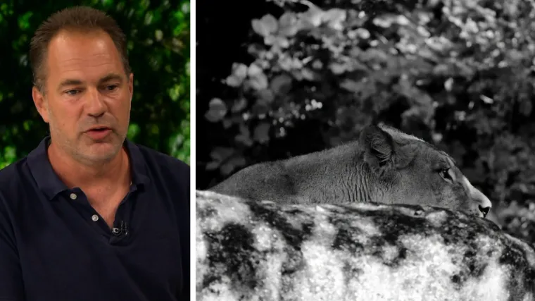 Ravnatelj ZOO-a nakon kritika: 'Napad je vidjelo 50-ak ljudi, na&scaron; tim je reagirao u dvije minute'