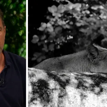Ravnatelj zoolo&scaron;kog odgovorio na kritike: 'Napad je vidjelo 50-ak ljudi, radili smo sve po pravilima'