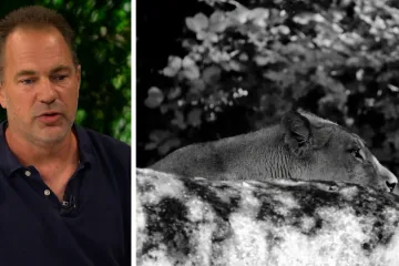Ravnatelj zoolo&scaron;kog odgovorio na kritike: 'Napad je vidjelo 50-ak ljudi, radili smo sve po pravilima'