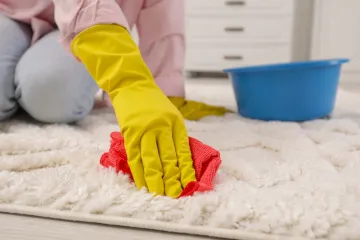 Mrlje od izmeta s tepiha, odjeće i namje&scaron;taja možete lako ukloniti, no pripazite na ovo