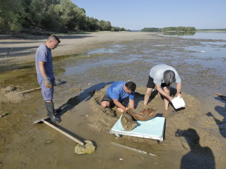 Nevjerojatno otkriće na Dunavu, stručnjaci se iznenadili: 'Mislimo da je ovo rebro'