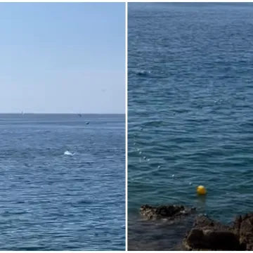 Iskakale iz mora! Tune iznenadile kupače na Verudeli: Ali, brinu komentari ispod snimke