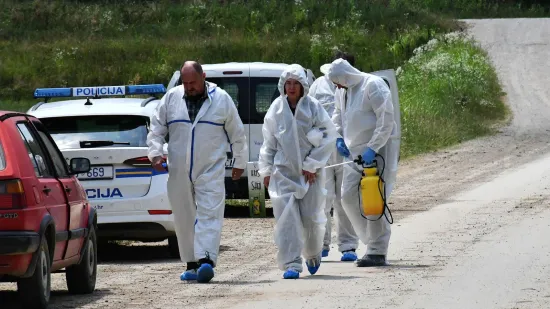 Alarm zbog virusa: U četiri općine kreće uklanjanje oko 600 svinja!