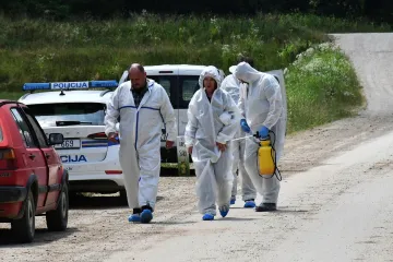 Alarm zbog virusa: U četiri općine kreće uklanjanje oko 600 svinja!