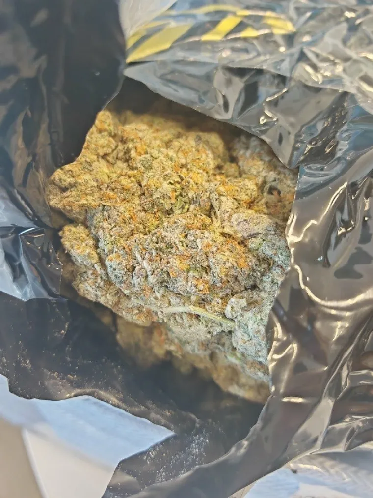 Otvorili paket iz Kanade, pa umjesto ženskih torbica prona&scaron;li 10 kilograma marihuane