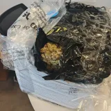 Otvorili paket iz Kanade, pa umjesto ženskih torbica prona&scaron;li 10 kilograma marihuane