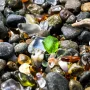 Plaža koju krase milijuni &scaron;arenih kamenčića u opasnosti: 'Ljudi joj prijete oduzeti ljepotu'