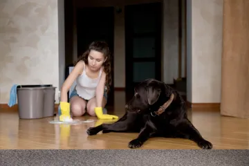 Ovo svi radimo kad čistimo: Nesvjesni smo navike koja može ubiti kućnog ljubimca
