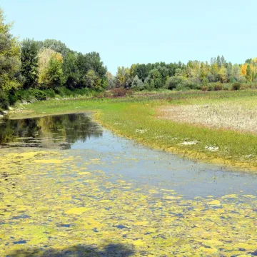 Nevjerojatni prizori na Dravi: 'Cijeli život sam tu, ali tako niska voda nikad nije bila!'