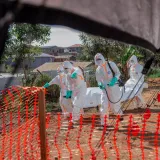 &Scaron;iri se epidemija opasnog virusa: Sumnja se da mjesecima nitko nije reagirao