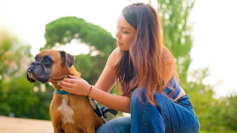 Veterinarska tehničarka upozorava: Ovo su znakovi da je va&scaron; pas zadobio opekline od sunca