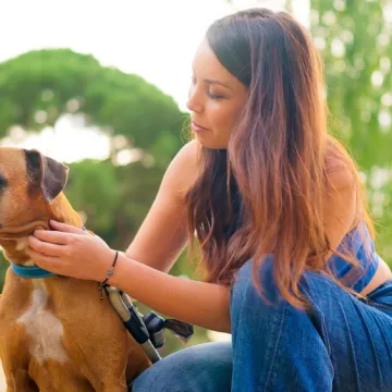 Veterinarska tehničarka upozorava: Ovo su znakovi da je va&scaron; pas zadobio opekline od sunca