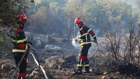 Uhvaćen serijski piroman (73): U jednom danu izazvao pet požara u Istri