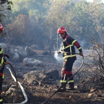 Uhvaćen serijski piroman (73): U jednom danu izazvao pet požara u Istri