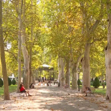 Zagreb usred ljeta izgleda kao u listopadu: Stručnjaci otkrili &scaron;to se događa