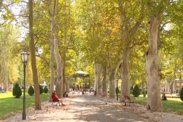 Zagreb usred ljeta izgleda kao u listopadu: Stručnjaci otkrili &scaron;to se događa