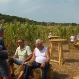 Uđite ako se usudite: Kukuruzni labirint skriva vi&scaron;e od izlaza