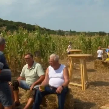 Uđite ako se usudite: Kukuruzni labirint skriva vi&scaron;e od izlaza