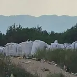 Otpad nezakonito odložen kod Udbine? Miletić traži istragu: 'Poslao sam fotografije MUP-u