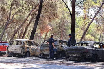 Požar u Segetu Donjem: Potpuno izgorjela tri vozila, vatrena stihija zahvatila i borovu &scaron;umu