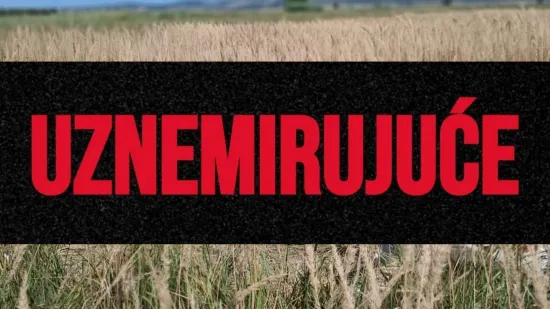 Uginula krava osam dana leži kraj polja, tele kruži oko nje: 'Te&scaron;ka sramota cijele Hrvatske'