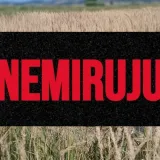 Uginula krava osam dana leži kraj polja, tele kruži oko nje: 'Te&scaron;ka sramota cijele Hrvatske'