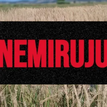 Uginula krava osam dana leži kraj polja, tele kruži oko nje: 'Te&scaron;ka sramota cijele Hrvatske'