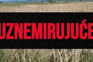 Uginula krava osam dana leži kraj polja, tele kruži oko nje: 'Te&scaron;ka sramota cijele Hrvatske'