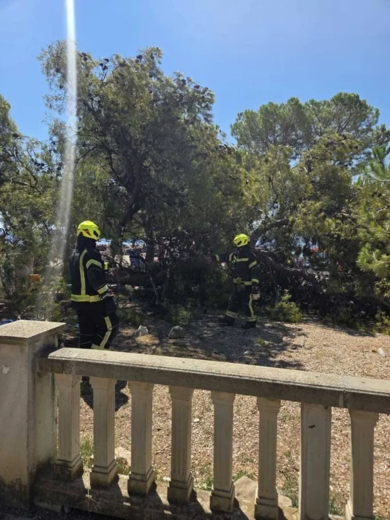 Golemi bor pao na kupače u Crikvenici, stradala i djeca: Otkriven mogući uzrok nesreće