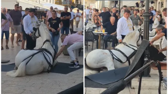 Konji pali usred Sinja, snimka izazvala reakcije: Pogledajte kako su im pomagali