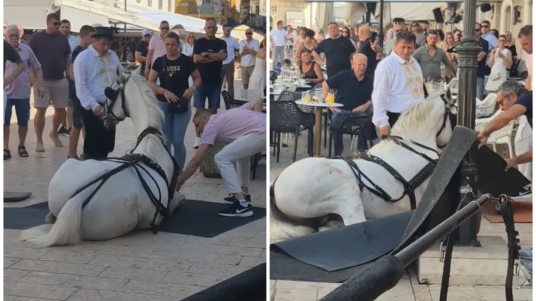 Konji pali usred Sinja, snimka izazvala reakcije: Pogledajte kako su im pomagali