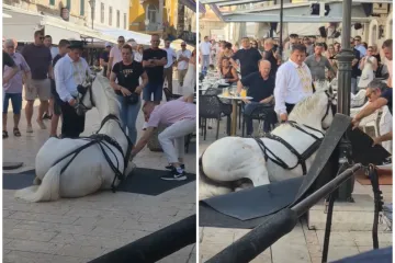 Konji pali usred Sinja, snimka izazvala reakcije: Pogledajte kako su im pomagali