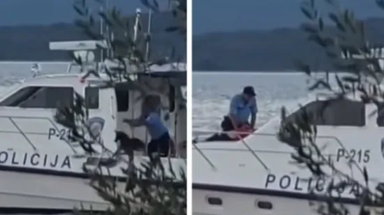Snimka policajca koji baca psa u more užarila mreže: Ovo je službeno obja&scaron;njenje